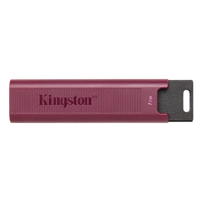 картинка Флэш накопитель Kingston DTMAXA/1TB