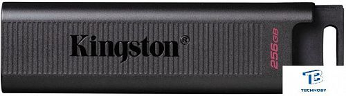 картинка Флэш накопитель Kingston DTMAX/256GB