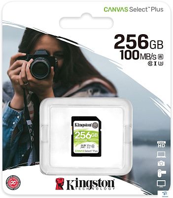 картинка Карта памяти Kingston SDS2/256GB