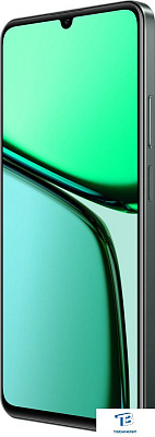 картинка Смартфон Realme C61 Green 8GB/256GB