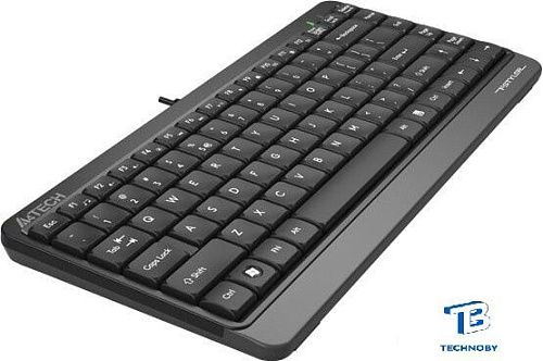 картинка Клавиатура A4Tech Fstyler FK11 черный/серый