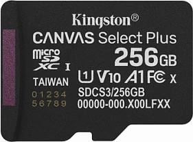 картинка Карта памяти Kingston SDCS3/256GB