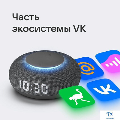 картинка Умная колонка VK Капсула Мини темно-серый