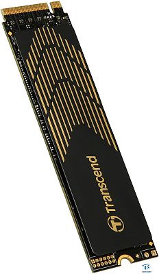 картинка Накопитель SSD Transcend 500GB TS500GMTE240S