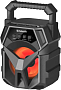 картинка Портативная колонка Defender G98 - превью 1
