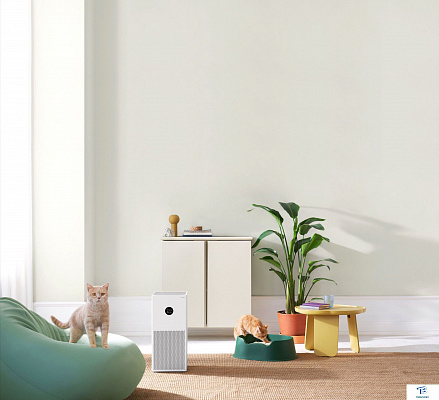 картинка Очиститель воздуха Xiaomi BHR5274GL