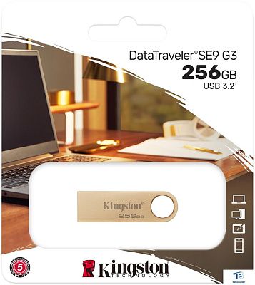 картинка Флэш накопитель Kingston DTSE9G3/256GB