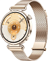 картинка Умные часы Huawei Watch GT 6 KSU-B19 Gold - превью 1