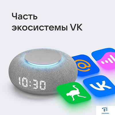 картинка Умная колонка VK Капсула Мини светло-серый