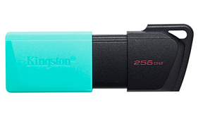 картинка Флэш накопитель Kingston DTXM/256GB