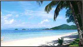 картинка Монитор Dahua DHI-LM43-S200