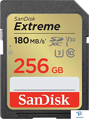 картинка Карта памяти SanDisk 256GB SDSDXVV-256G-GNCIN