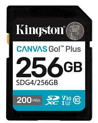 картинка Карта памяти Kingston SDG4/256GB