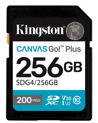 картинка Карта памяти Kingston SDG4/256GB