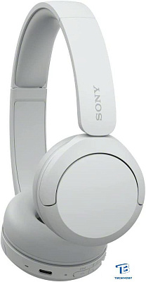 картинка Наушники Sony WH-CH520 белый