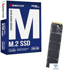 картинка Накопитель SSD Biostar 256GB M760-256G