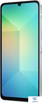 картинка Смартфон Samsung Galaxy A06 128GB Blue SM-A065FLBGCAU