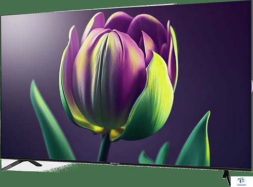 картинка Телевизор Top Device TDTV75CS06U_BK