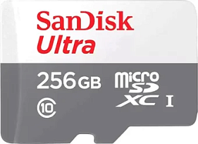 картинка Карта памяти SanDisk 256GB SDSQUNR-256G-GN3MN