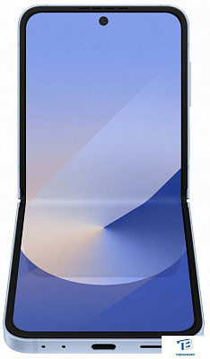 картинка Смартфон Samsung Galaxy Flip6 256GB SM-F741BLBGCAU