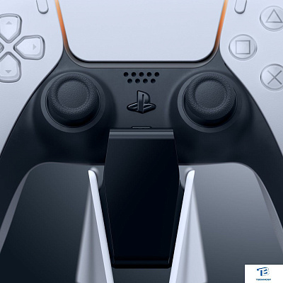 картинка Зарядное устройство Sony CFI-ZDS1