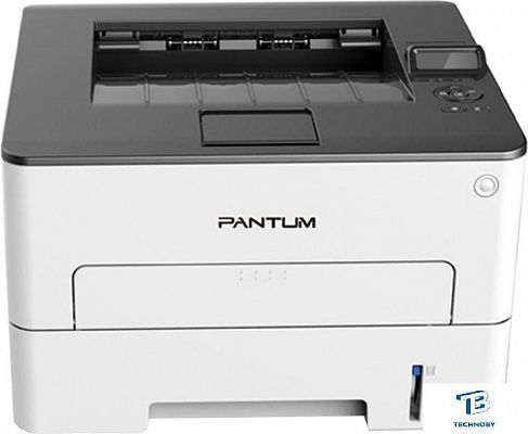 картинка Принтер лазерный Pantum P3010DW, черно-белый