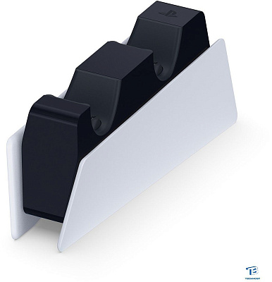 картинка Зарядное устройство Sony CFI-ZDS1