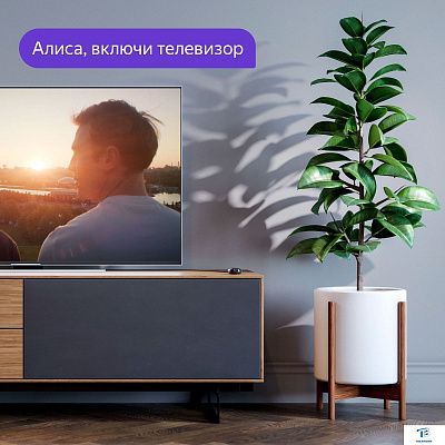 картинка Умный пульт Яндекс YNDX-0006B