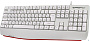 картинка Клавиатура Defender Atom HB-546 белый - превью 2