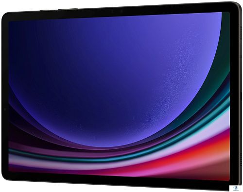 картинка Планшет Samsung Galaxy Tab S9 SM-X710NZAACAU