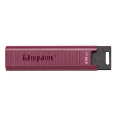 картинка Флэш накопитель Kingston DTMAXA/256GB