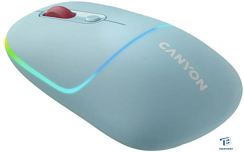 картинка Мышь Canyon CNS-CMSW22DC