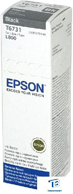 картинка Картридж Epson C13T67314A