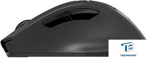 картинка Мышь A4Tech Fstyler FG30S черный