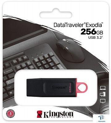 картинка Флэш накопитель Kingston DTX/256GB