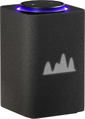 картинка Умная колонка Яндекс Станция Макс графит YNDX-00053K