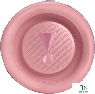 картинка Портативная колонка JBL Flip 6 Розовый