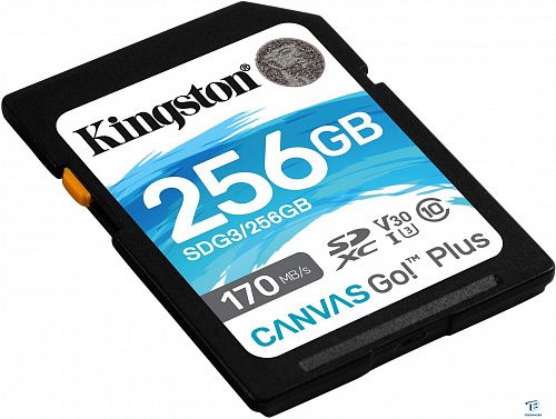 картинка Карта памяти Kingston SDG3/256GB