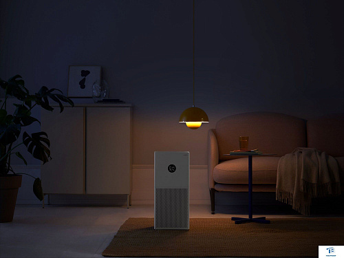 картинка Очиститель воздуха Xiaomi BHR5274GL