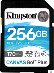 картинка Карта памяти Kingston SDG3/256GB