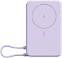 картинка Xiaomi Mi Power Bank BHR08PAGL - превью 1