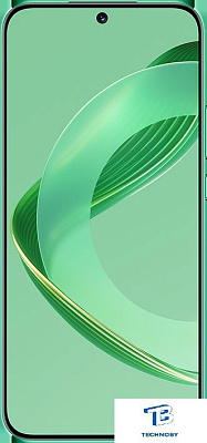 картинка Смартфон Huawei Nova 11 Green 8GB/256GB FOA-LX9