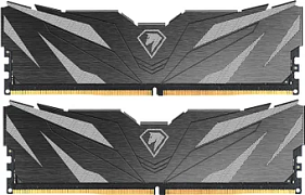 картинка ОЗУ Netac NTSWD5P48DP-16K