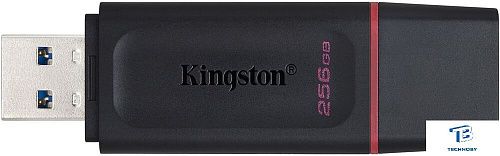 картинка Флэш накопитель Kingston DTX/256GB