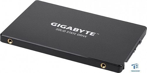 картинка Накопитель SSD Gigabyte 256GB GP-GSTFS31256GTND