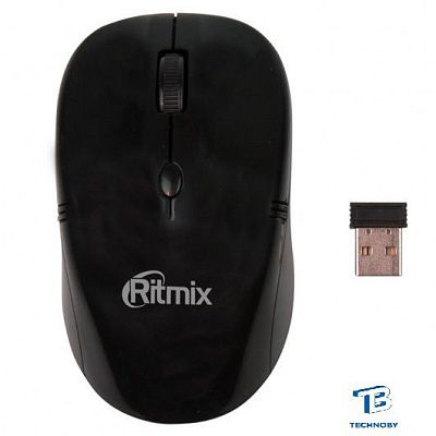 картинка Мышь Ritmix RMW-111
