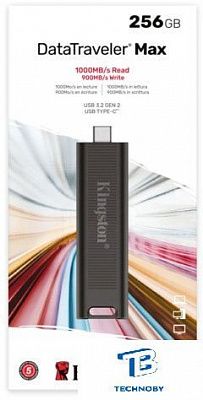 картинка Флэш накопитель Kingston DTMAX/256GB