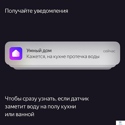 картинка Датчик протечки Яндекс YNDX-00521