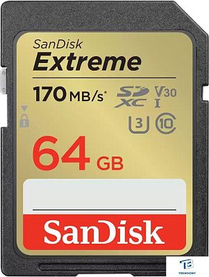 картинка Карта памяти SanDisk 64GB SDSDXV2-064G-GNCIN