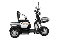 картинка Электротрицикл Terax ARKI NS003 Черный